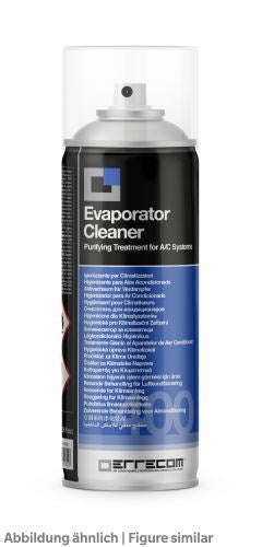 Errecom Verdampferreiniger 400ml Aerosol Hygiene und Frischeduft, desinfizierend