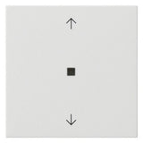 GIRA Kontrollwippe Schalter rws glz System 55 538803 Pfeile