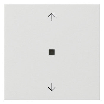 GIRA Kontrollwippe Schalter rws glz System 55 538803 Pfeile