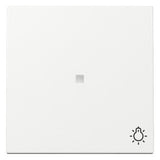 GIRA Kontrollwippe Schalter rws glz System 55 367403 Licht