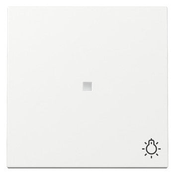 GIRA Kontrollwippe Schalter rws glz System 55 367403 Licht