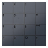 SIEDLE Codemodul Bus 1RT anthgr COM 611-02 AG 99x99x27mm