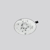 RZB LED-Modul 20W 1LED 240V 4000K AC E90-6844.000.1