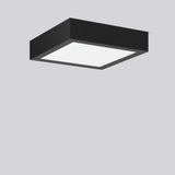 RZB LED-Anbaustrahler 12-23W Konv DALI TOLEDO FLAT 901829.0031.76 1LED anth ws
