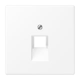 JUNG Vollplatte UAE/IAE 1f ws Schraubbef LS 969-1 UA WWM ohne Beschriftungsfeld