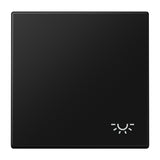 JUNG Wippe Schalter gra-sw mt Licht LS 990 L SWM