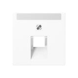 JUNG Zentralplatte UAE/IAE 1f aws A 569-1 NA PLUA WW Schraubbef