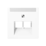 JUNG Zentralplatte UAE/IAE 2f aws A 569-2 NA PLUA WW Schraubbef