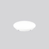 RZB Ersatzglas ws sym dir/indir Kst 983272.002 380x55mm