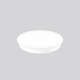 RZB Ersatzglas ws sym dir/indir Kst 983286.002 480mm