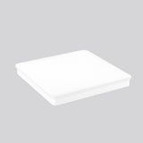 RZB Ersatzglas ws sym dir/indir Kst 983292.002 580x580mm