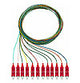 RUTENBECK LWL-Pigtail SC 50/125 OM4 2m Pigtails 12xSC OM4 2m vi Aderpigtail