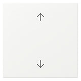 GIRA Wippe 1t Schalter rws mt Pfeile System 55 361627