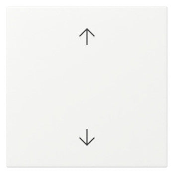 GIRA Wippe 1t Schalter rws mt Pfeile System 55 361627