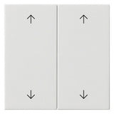 GIRA Wippe_2t Jalousie rws glz System 55 538703 Pfeile