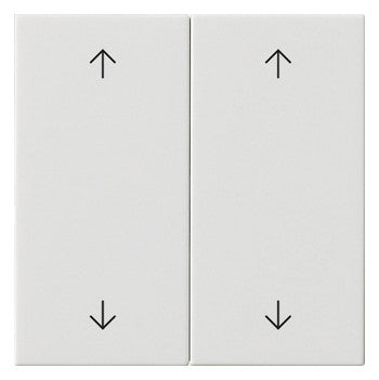 GIRA Wippe_2t Jalousie rws glz System 55 538703 Pfeile