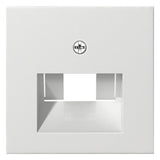 GIRA Zentralplatte UAE/IAE rws System 55 027003 Schraubbef