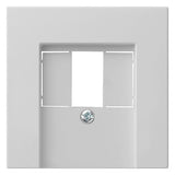 GIRA Zentralplatte USB/TAE gr Schraubbef System 55 0276015 ohne Beschriftungsfeld