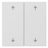 GIRA Wippe_2t Jalousie rws mt Pfeile System 55 538727