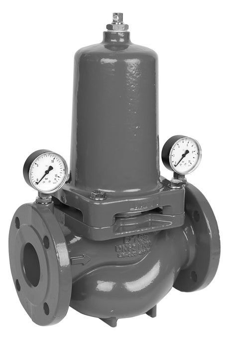 Druckminderer D15S pulverbeschichtet, blau DN 80