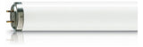 PHILIPS-LM Schwarzlichtlampe 100W G13 vi FlexoPrint TL 100W/10-R UV-A Stab