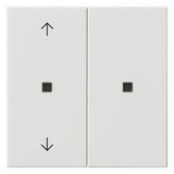 GIRA Tastwippe KNX rws glz Kst Thermopl System 55 510803 Bussystem KNX-RF (Funk)