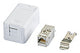 METZ CONNECT REG-Anschlussdose Cat6A ws 130B21D1APL-E 1xRJ45 m.Staubschutz