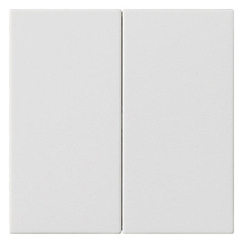 GIRA Wippe Serien Schalter rws mt System 55 537027