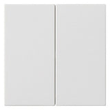 GIRA Wippe Serien Schalter rws mt System 55 537027