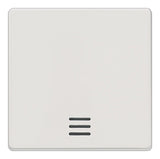 SIEMENS Kontrollwippe Schalter ti-ws glz DELTAi-system 5TG6200 f.Bussystem