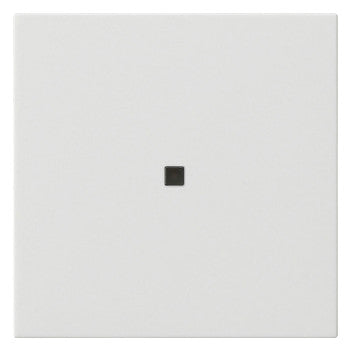 GIRA Kontrollwippe Schalter rws glz System 55 537103