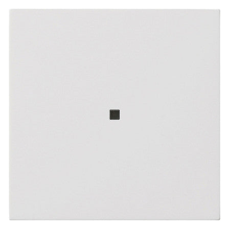 GIRA Kontrollwippe Schalter rws glz 5371112