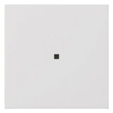 GIRA Kontrollwippe Schalter rws glz 5371112