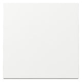 GIRA Wippe Schalter rws glz System 55 329603