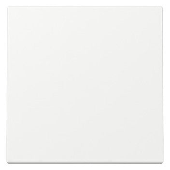 GIRA Wippe Schalter rws glz System 55 329603