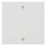 GIRA Wippe Schalter rws mt Pfeile System 55 538927