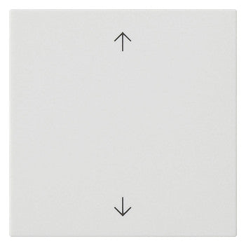 GIRA Wippe Schalter rws mt Pfeile System 55 538927