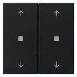 GIRA Wippe_2t Jalousie sw mt Pfeile System 55 5386005