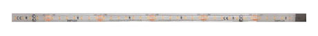 DOTLUX LED-Streifen 48W 10mm 5000K IP66 5m-Rolle inkl. 50cm Anschlusskabel beidseitig