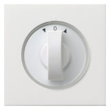 GIRA Knebel Jalousie rws glz Pfeile Fläche 0666112