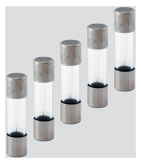 SIEDLE Glassicherung T 0,2A 250V AC T 0,2 A/250 V 5x20mm