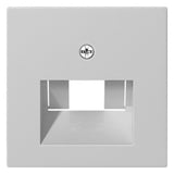 GIRA Zentralplatte UAE/IAE gr Schraubbef System 55 0270015 ohne Beschriftungsfeld