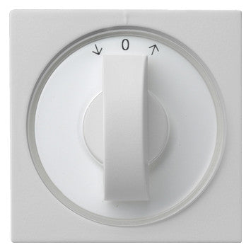 GIRA Knebel Jalousie gr mt Pfeile System 55 0666015