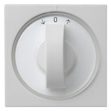 GIRA Knebel Jalousie gr mt Pfeile System 55 0666015