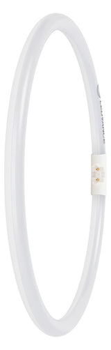 OSRAM-LEDVANCE LED-Röhrenlampe 2GX13 ws LED T5 FC 40/55 EXTERNAL P 21.5W 84 21,5