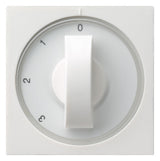 GIRA Knebel Stufen rws glz 3-Stuf System 55 066903