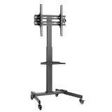 Trolley-TV-LED/LCD-32-55"-w/Regal  Stück