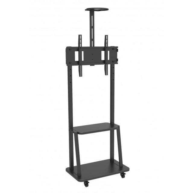 Boden-TV-Halter für 32''-70'' TV mit Ablage Stück