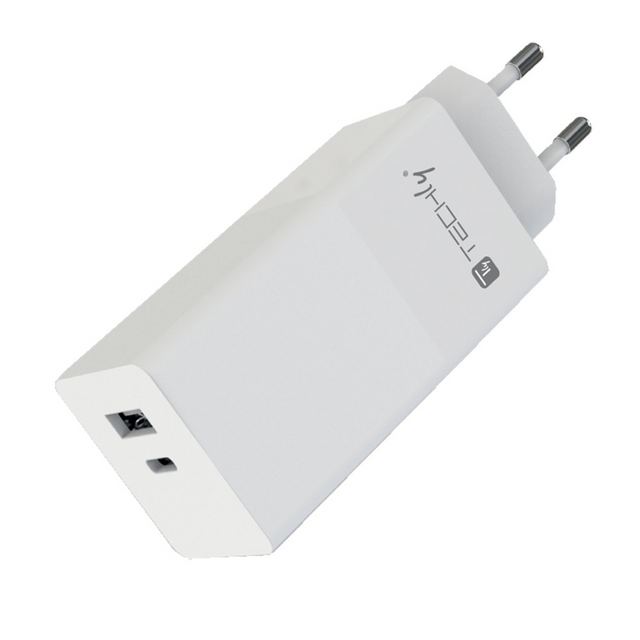 Techly USB-C und USB-A 100W Wandladegerät  Stück