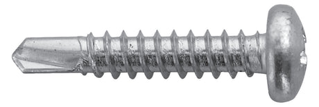 HAUPA Blechschraube Linsenkopf PH ST 790424  4,2x19mm g/vz